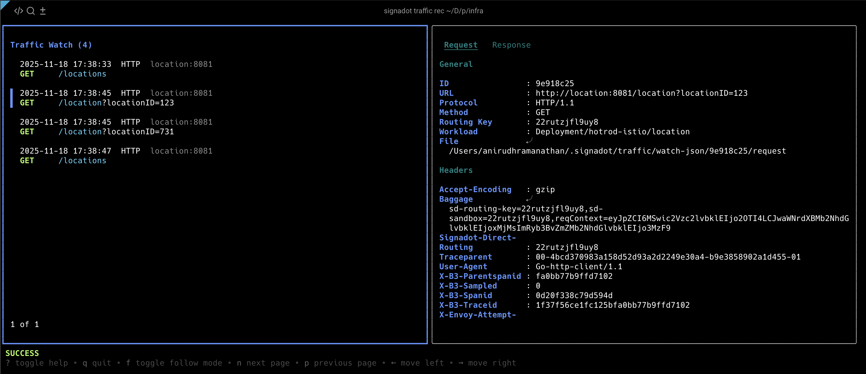 Traffic Record TUI showing captured requests