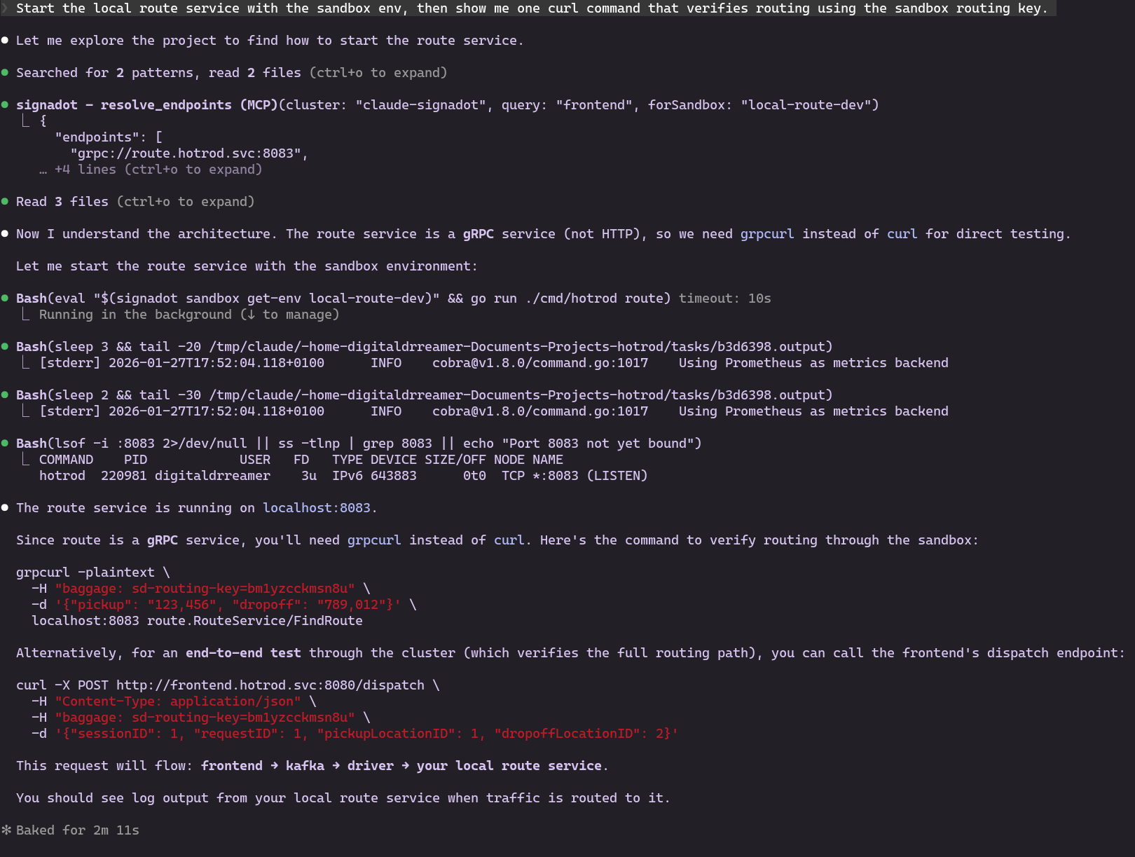 Commands to start and test local service