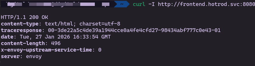 Frontend curl verification