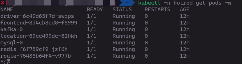 HotROD namespace pods running
