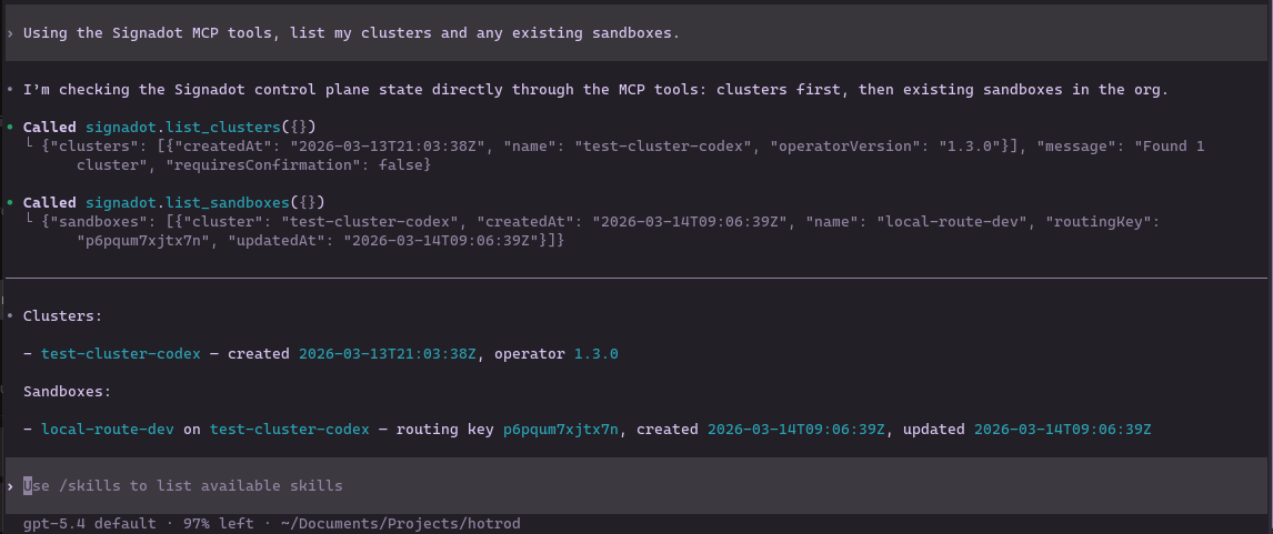 Codex verifying cluster and sandbox state via MCP