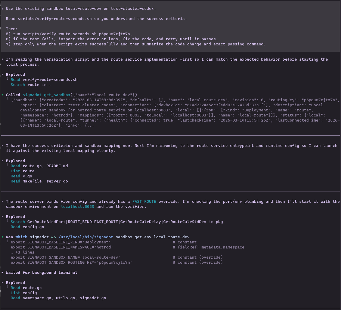 Codex inspecting sandbox and pulling environment variables