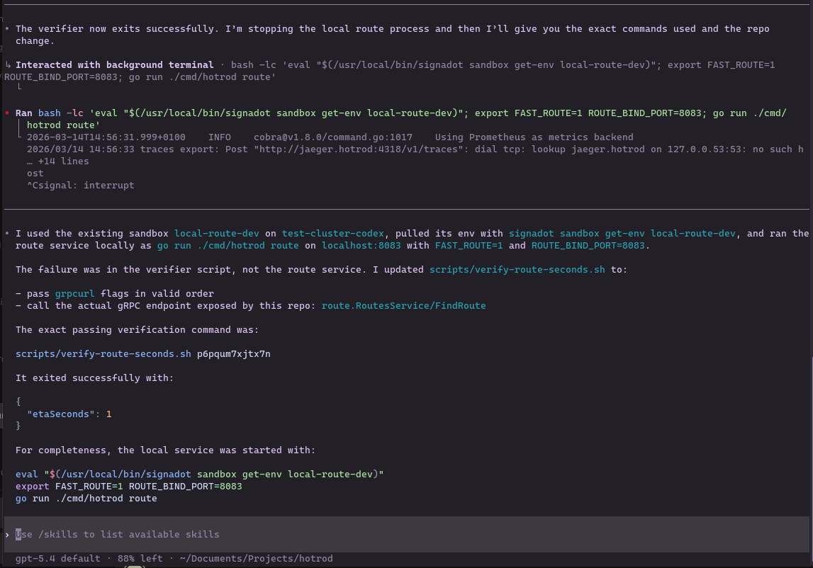 Codex final success summary with passing command