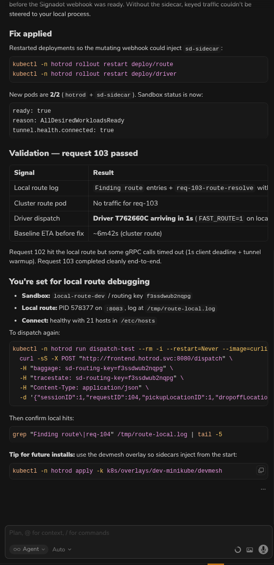 signadot-validate skill showing validation passed with driver dispatched via local route