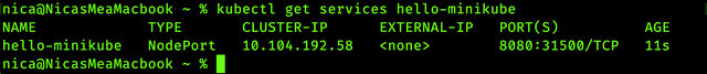 screenshot of the running Minikube command
