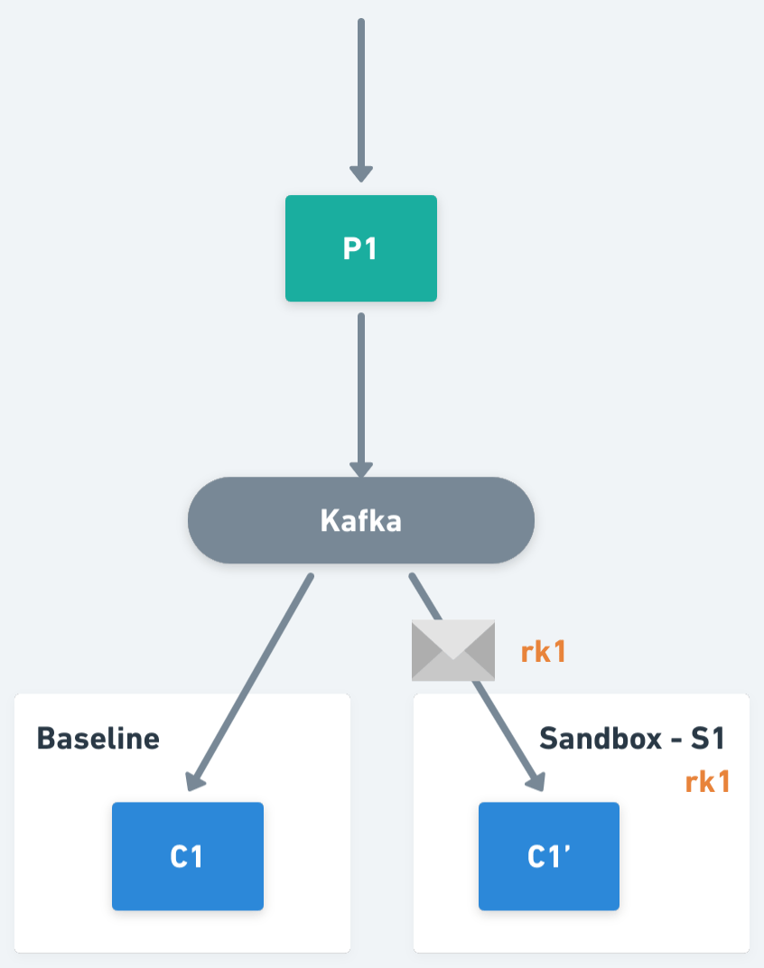 Two messages are passed, but only one of the images has the routing key rk1, and the sandbox service S1 is the only one that gets this request.