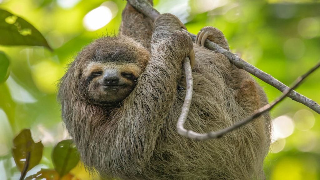 Microservices Testing Cycles Are Too Slow